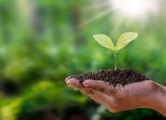 ΠΕΡΙΒΑΛΛΟΝ Οικολογία και βιωσιμότητα, ανάπτυξη με σεβασμό στο περιβάλλον, κυκλική οικονομία, περιφερειακή διακυβέρνηση.