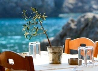 ΠΟΛΙΤΙΣΜΟΣ – ΤΟΥΡΙΣΜΟΣ Αλτ κείμενο: Πράσινο φυτάκι σε βάζο με θάλασσα και παραλία στο υπόβαθρο, οικολογική συνείδηση.