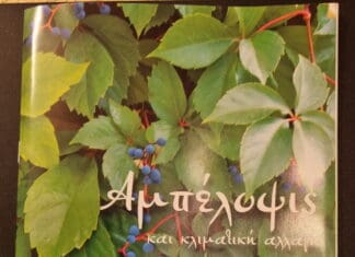 ΑΜΠΕΛΟΨΙΣ ΚΑΙ ΚΛΙΜΑΤΙΚΗ ΑΛΛΑΓΗ Αμπελόφυλλα και κυκλική δημοκρατία, εναρμόνιση φύσης και πολιτικής.