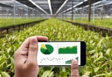 Αξιοποίηση της καινοτομίας: Πώς τα έξυπνα θερμοκήπια φέρνουν επανάσταση στην ελληνική γεωργία και την οικονομική ανάπτυξη Εξέλιξη γεωργίας και βιωσιμότητα με ψηφιακή τεχνολογία.