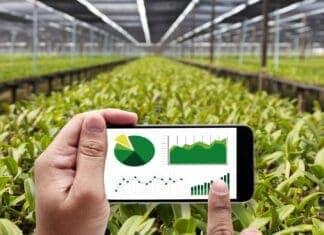 Αξιοποίηση της καινοτομίας: Πώς τα έξυπνα θερμοκήπια φέρνουν επανάσταση στην ελληνική γεωργία και την οικονομική ανάπτυξη Εξέλιξη γεωργίας και βιωσιμότητα με ψηφιακή τεχνολογία.