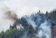 Πυρασφάλεια το καλοκαίρι: Βασικά βήματα για την προστασία της περιουσίας και της υγείας σας ΑΝΤΙΔΡΑΣΗ ΣΤΗΝ ΚΑΤΑΣΤΡΟΦΗ ΔΑΣΟΥΣ.