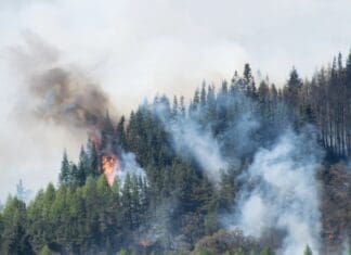 Πυρασφάλεια το καλοκαίρι: Βασικά βήματα για την προστασία της περιουσίας και της υγείας σας ΑΝΤΙΔΡΑΣΗ ΣΤΗΝ ΚΑΤΑΣΤΡΟΦΗ ΔΑΣΟΥΣ.