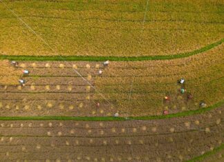 Η ΚΥΒΕΡΝΗΣΗ ΠΟΛΕΜΑ ΤΟΥΣ ΠΑΡΑΓΩΓΟΥΣ ΚΑΙ ΤΡΟΜΟΚΡΑΤΕΙ ΤΑ ΘΥΜΑΤΑ – Η ΚΥΚΛΙΚΗ ΔΗΜΟΚΡΑΤΙΑ ΒΑΖΕΙ ΤΕΛΟΣ ΣΤΟΝ ΕΜΠΑΙΓΜΟ! Από aerial εικόνα ενός αγροτικού τοπίου με εργάτες.