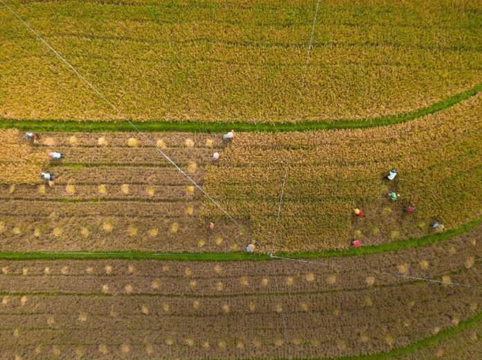 Από aerial εικόνα ενός αγροτικού τοπίου με εργάτες.
