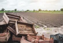 Η Πτώση της ΝΔ: Αγροτικά Μπλόκα και Σκάνδαλα Γκρεμίζουν το 25%! Η ΚΥΚΛΙΚΗ ΔΗΜΟΚΡΑΤΙΑ Απαιτεί Αλλαγή! Κοινωνική πρόοδος και βιώσιμη ανάπτυξη στην Κυκλική Δημοκρατία.