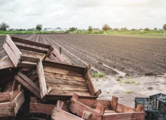 Η Πτώση της ΝΔ: Αγροτικά Μπλόκα και Σκάνδαλα Γκρεμίζουν το 25%! Η ΚΥΚΛΙΚΗ ΔΗΜΟΚΡΑΤΙΑ Απαιτεί Αλλαγή! Κοινωνική πρόοδος και βιώσιμη ανάπτυξη στην Κυκλική Δημοκρατία.