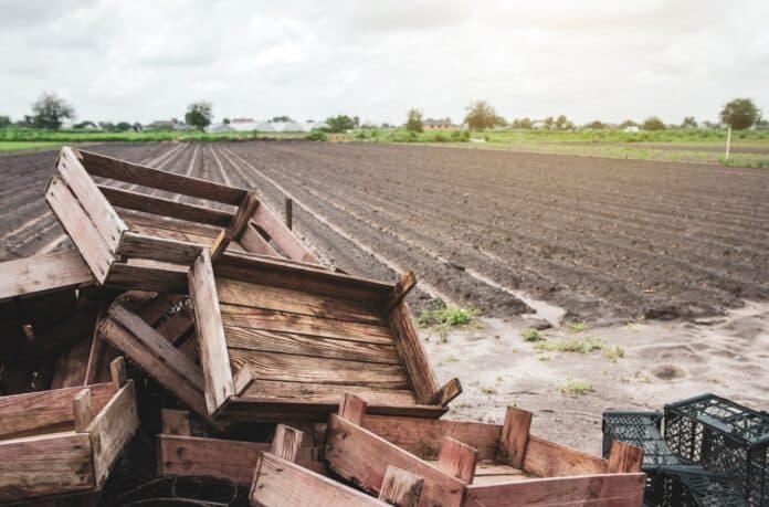 Αντικείμενο οικονομίας και γεωργίας σε αγρόκτημα. Κοινωνική πρόοδος και βιώσιμη ανάπτυξη στην Κυκλική Δημοκρατία.