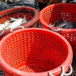 Η «ΚΥΚΛΙΚΗ ΔΗΜΟΚΡΑΤΙΑ» ΓΙΑ ΤΙΣ ΕΞΑΓΓΕΛΙΕΣ ΣΧΟΙΝΑ – ΤΑ «ΛΟΓΙΑ ΤΗΣ ΛΕΥΚΩΣΙΑΣ» ΔΕΝ ΓΕΜΙΖΟΥΝ ΤΑ ΔΙΧΤΥΑ ΟΥΤΕ ΤΑ ΣΙΛΟ